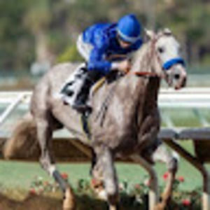 Meet your Posher, Brooklyn